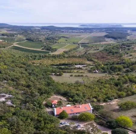 Gella Kúria Affittacamere *